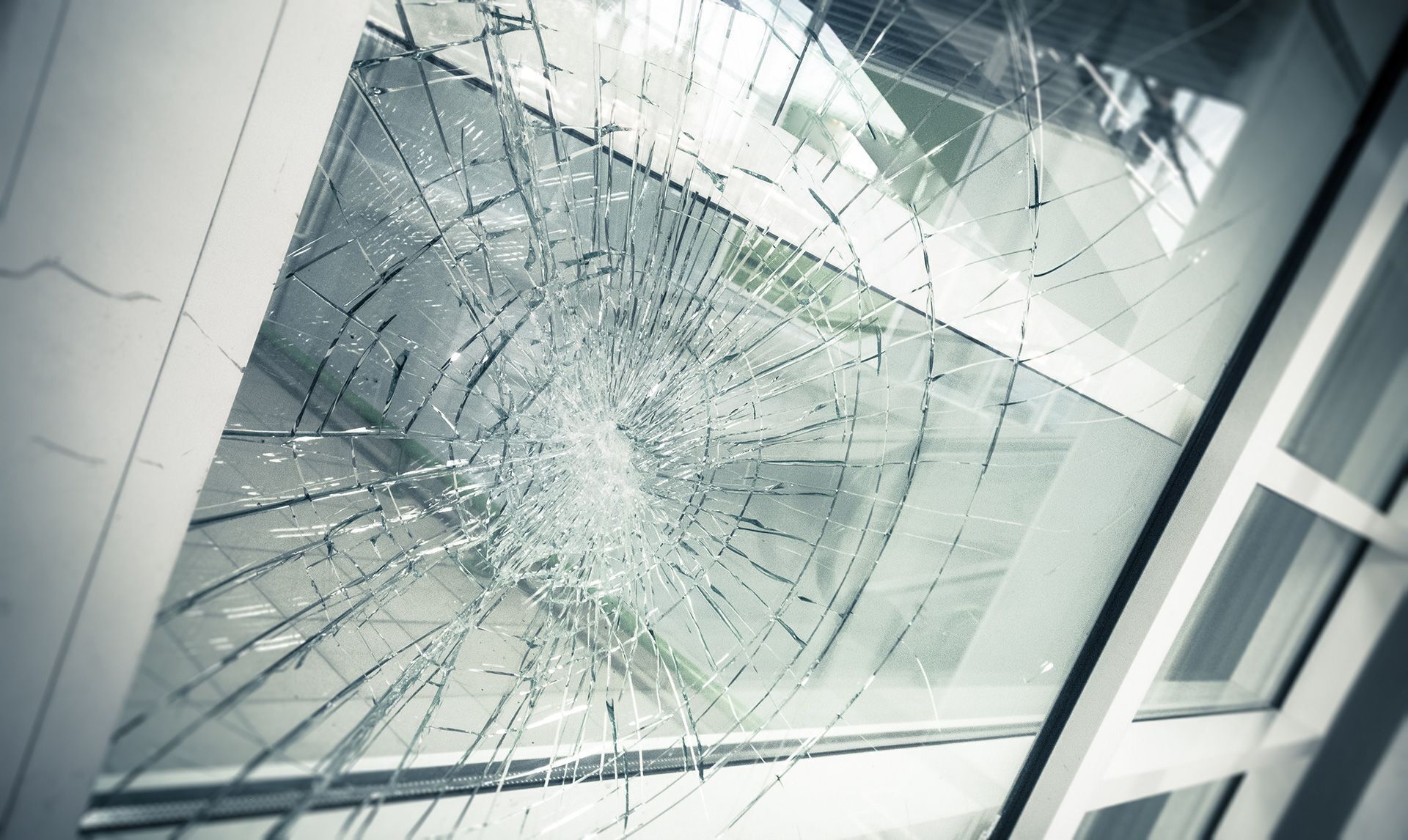 Fenster